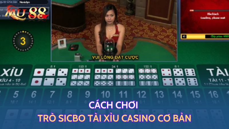 Cách chơi trò tài xỉu casino cơ bản