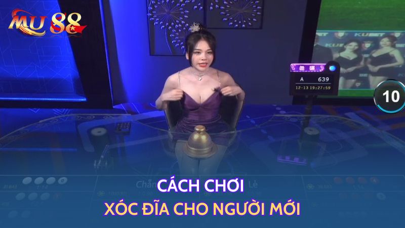 Cách chơi xóc đĩa cho người mới