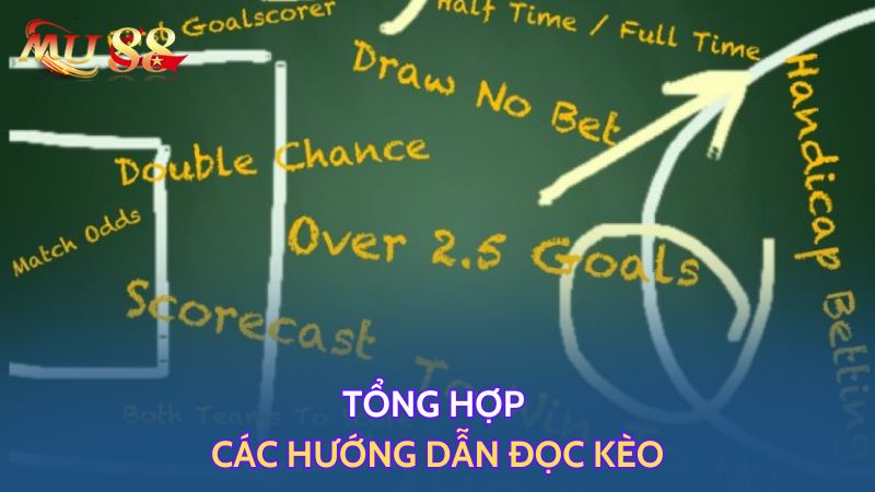 Tổng hợp các hướng dẫn đọc kèo